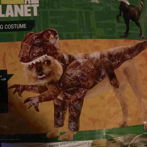 Animal Planet Other - Animal Planet Raptor dog costume size Medium